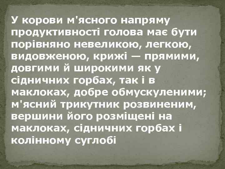 У корови м'ясного напряму продуктивності голова має бути порівняно невеликою, легкою, видовженою, крижі —