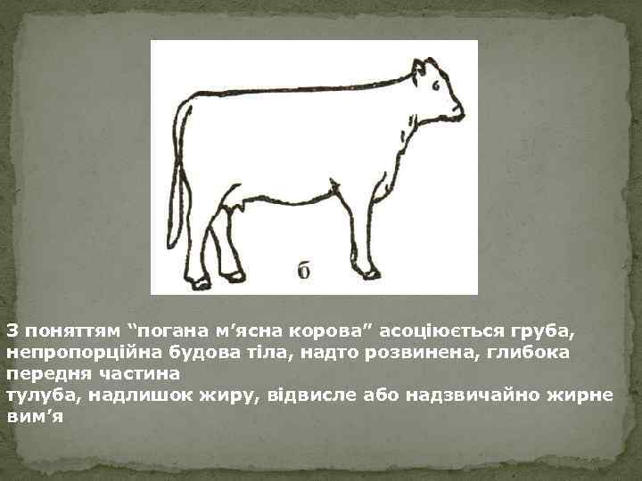 З поняттям “погана м’ясна корова” асоціюється груба, непропорційна будова тіла, надто розвинена, глибока передня