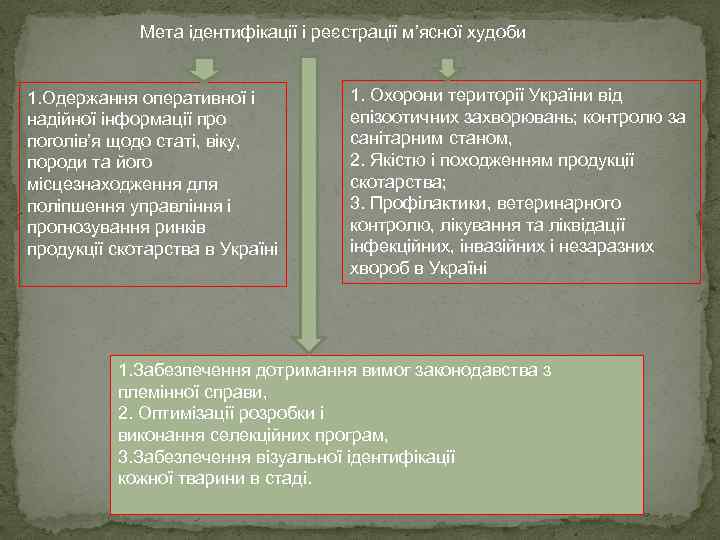 Мета ідентифікації і реєстрації м’ясної худоби 1. Одержання оперативної і надійної інформації про поголів’я