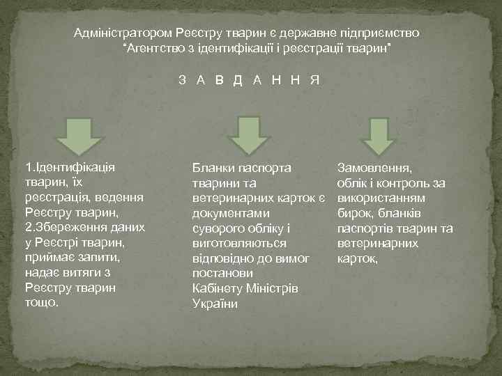 Адміністратором Реєстру тварин є державне підприємство “Агентство з ідентифікації і реєстрації тварин” З А