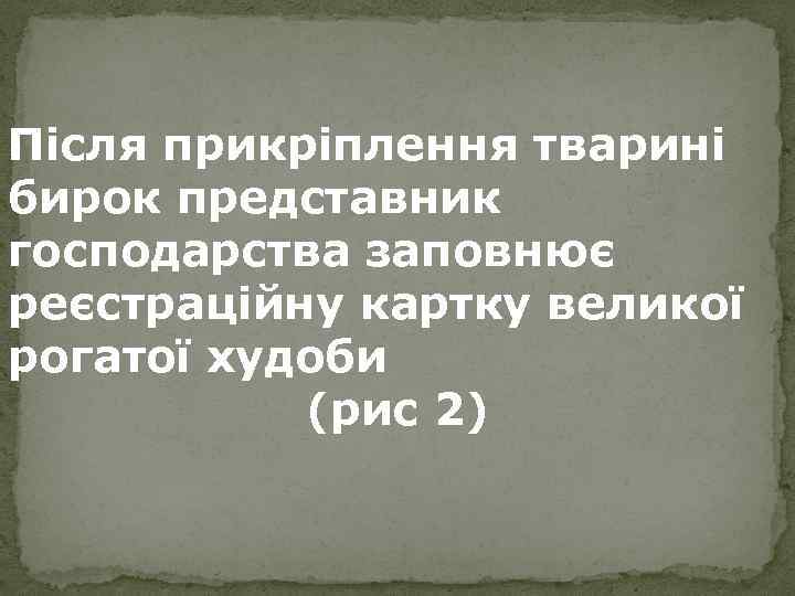 Після прикріплення тварині бирок представник господарства заповнює реєстраційну картку великої рогатої худоби (рис 2)