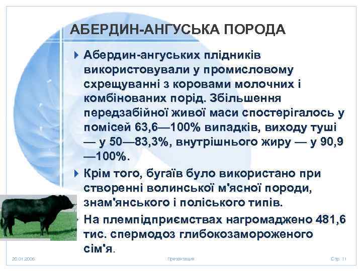 АБЕРДИН-АНГУСЬКА ПОРОДА 4 Абердин-ангуських плідників використовували у промисловому схрещуванні з коровами молочних і комбінованих