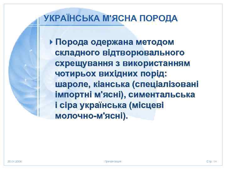 УКРАЇНСЬКА М'ЯСНА ПОРОДА 4 Порода одержана методом складного відтворювального схрещування з використанням чотирьох вихідних