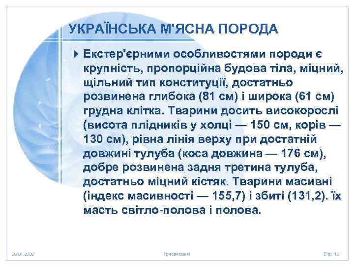 УКРАЇНСЬКА М'ЯСНА ПОРОДА 4 Екстер'єрними особливостями породи є крупність, пропорційна будова тіла, міцний, щільний