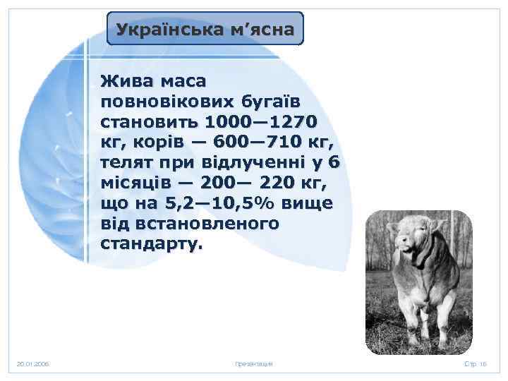 Українська м’ясна Жива маса повновікових бугаїв становить 1000— 1270 кг, корів — 600— 710