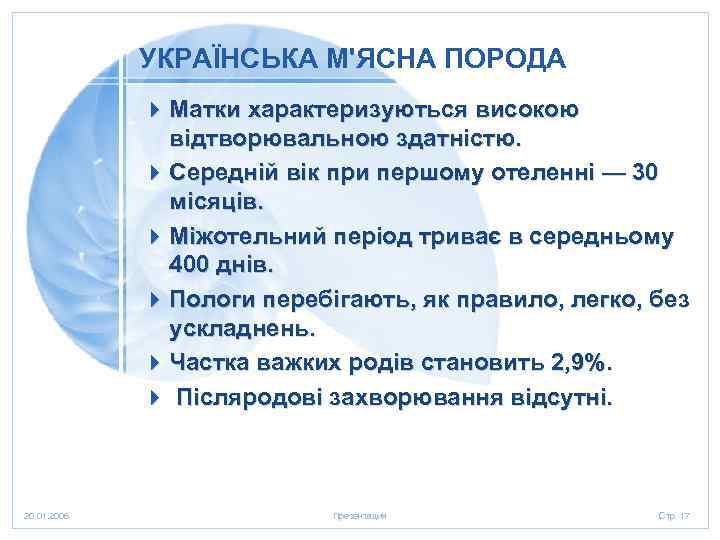 УКРАЇНСЬКА М'ЯСНА ПОРОДА 4 Матки характеризуються високою відтворювальною здатністю. 4 Середній вік при першому