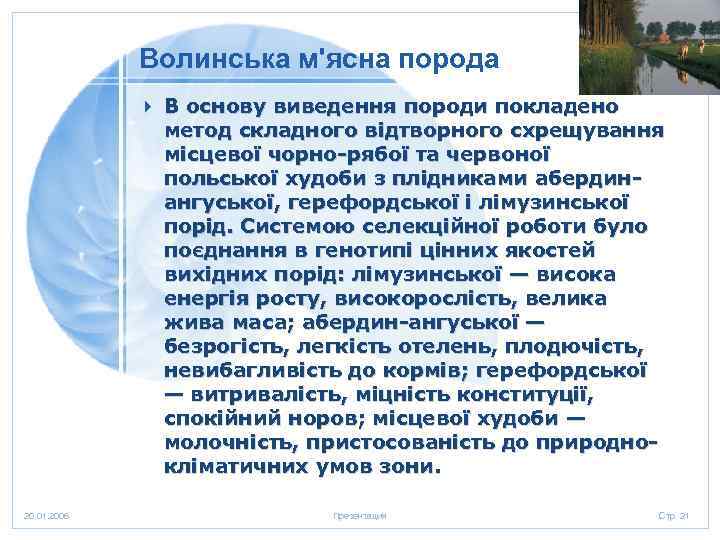 Волинська м'ясна порода 4 В основу виведення породи покладено метод складного відтворного схрещування місцевої