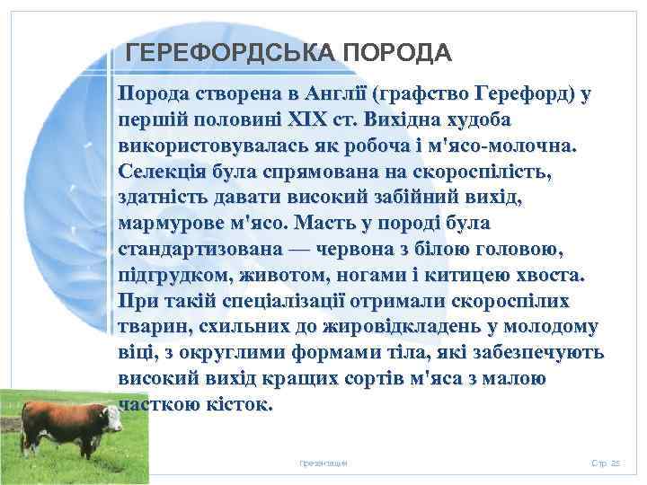 ГЕРЕФОРДСЬКА ПОРОДА Порода створена в Англії (графство Герефорд) у першій половині XIX ст. Вихідна