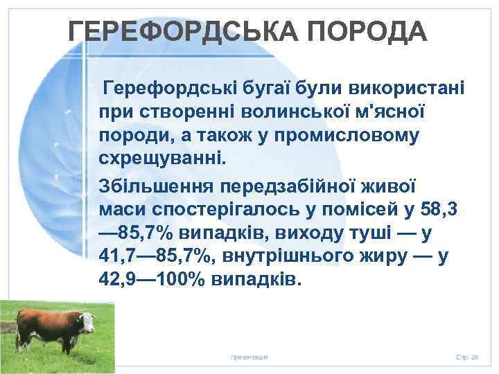 ГЕРЕФОРДСЬКА ПОРОДА Герефордські бугаї були використані при створенні волинської м'ясної породи, а також у