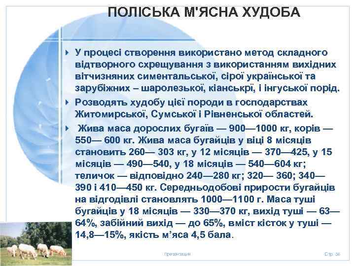 ПОЛІСЬКА М'ЯСНА ХУДОБА 4 У процесі створення використано метод складного відтворного схрещування з використанням