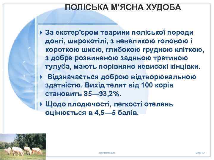 ПОЛІСЬКА М'ЯСНА ХУДОБА 4 За екстер'єром тварини поліської породи довгі, широкотілі, з невеликою головою