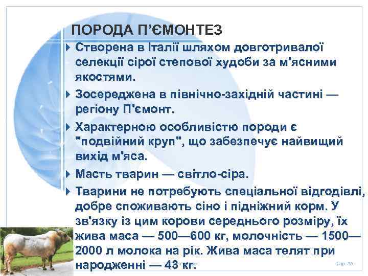 ПОРОДА П’ЄМОНТЕЗ 20. 01. 2006 4 Створена в Італії шляхом довготривалої селекції сірої степової
