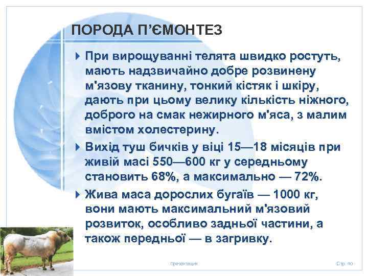 ПОРОДА П’ЄМОНТЕЗ 4 При вирощуванні телята швидко ростуть, мають надзвичайно добре розвинену м'язову тканину,