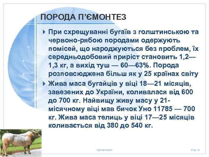 ПОРОДА П’ЄМОНТЕЗ 4 При схрещуванні бугаїв з голштинською та червоно-рябою породами одержують помісей, що