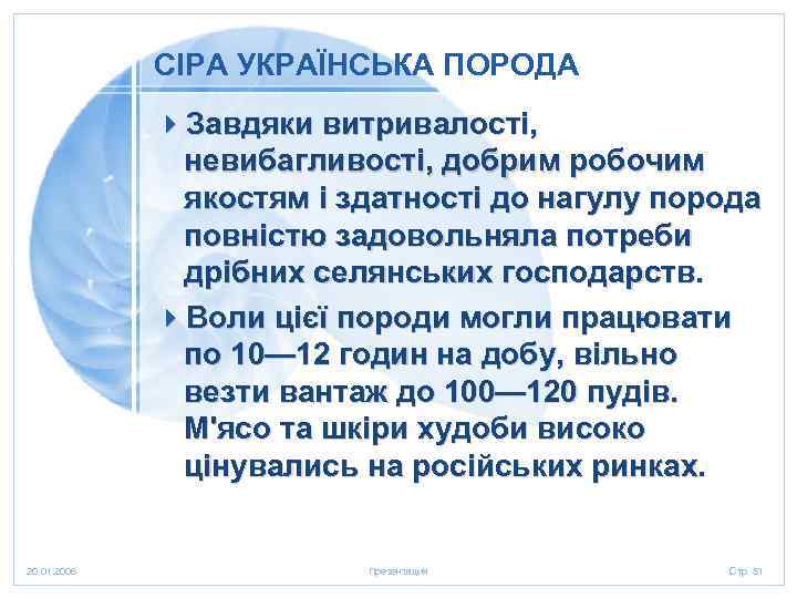 СІРА УКРАЇНСЬКА ПОРОДА 4 Завдяки витривалості, невибагливості, добрим робочим якостям і здатності до нагулу