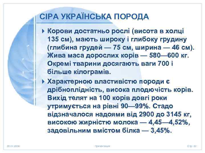 СІРА УКРАЇНСЬКА ПОРОДА 4 Корови достатньо рослі (висота в холці 135 см), мають широку