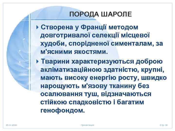 ПОРОДА ШАРОЛЕ 4 Створена у Франції методом довготривалої селекції місцевої худоби, спорідненої сименталам, за