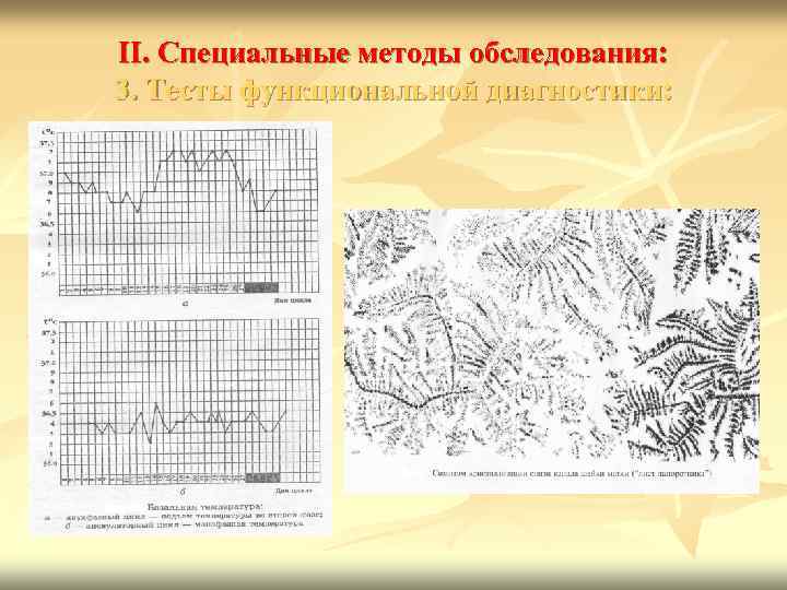II. Специальные методы обследования: 3. Тесты функциональной диагностики: 