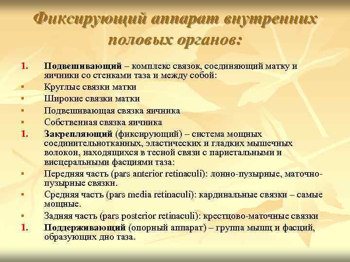 Фиксирующий аппарат внутренних половых органов: 1. Подвешивающий – комплекс связок, соединяющий матку и яичники
