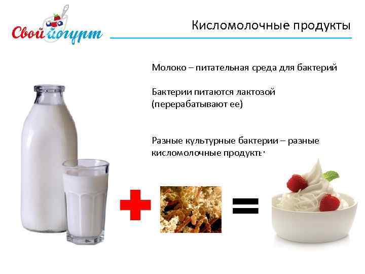 Кисломолочные продукты Молоко – питательная среда для бактерий Бактерии питаются лактозой (перерабатывают ее) Разные