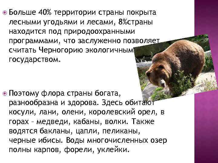  Больше 40% территории страны покрыта лесными угодьями и лесами, 8%страны находится под природоохранными