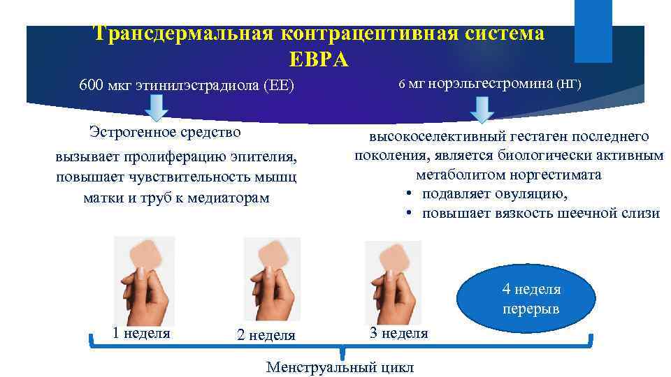 Трансдермальная контрацептивная система ЕВРА 600 мкг этинилэстрадиола (ЕЕ) Эстрогенное средство вызывает пролиферацию эпителия, повышает