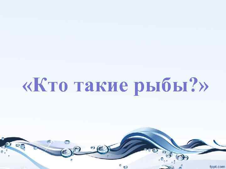  «Кто такие рыбы? » 