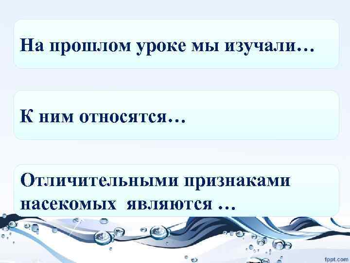 На прошлом уроке мы изучали… К ним относятся… Отличительными признаками насекомых являются … 