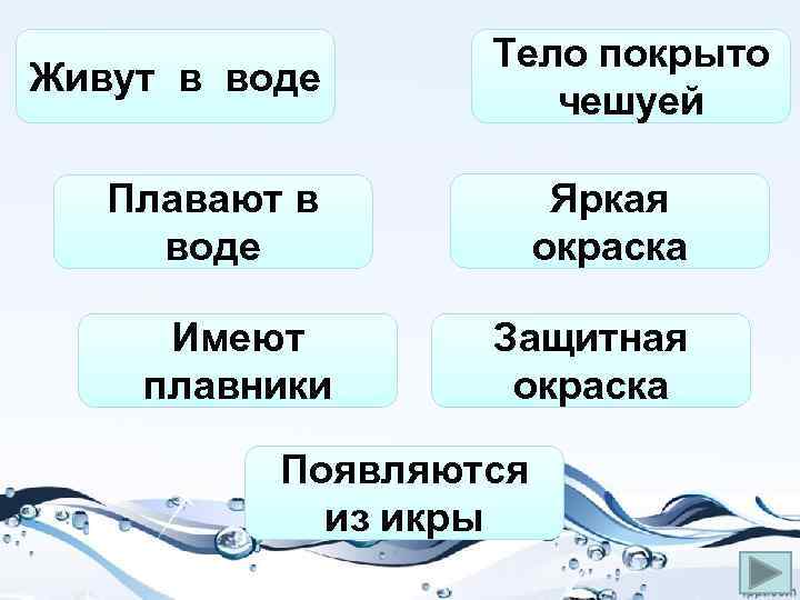 Живут в воде Тело покрыто чешуей Плавают в воде Яркая окраска Имеют плавники Защитная