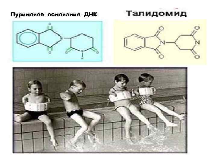 Пуриновое основание ДНК 