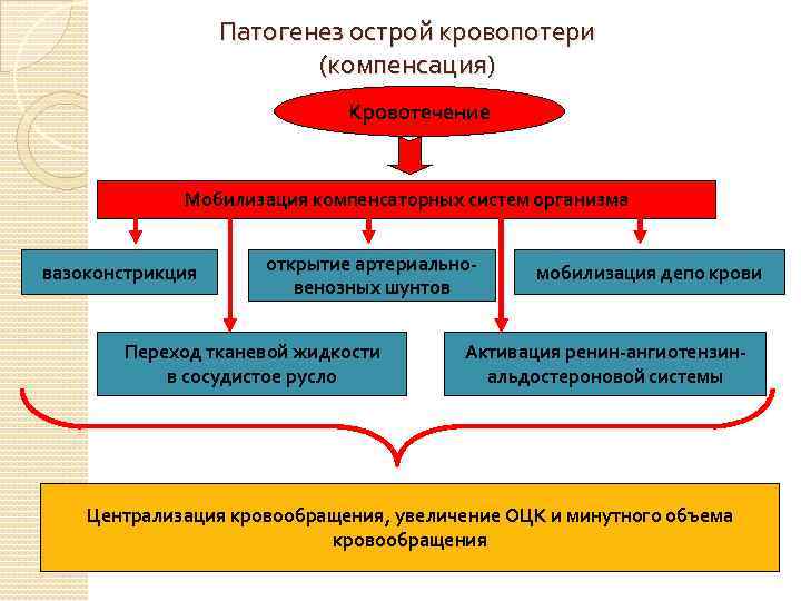 Патогенез острой кровопотери (компенсация) Кровотечение Мобилизация компенсаторных систем организма вазоконстрикция открытие артериальновенозных шунтов Переход