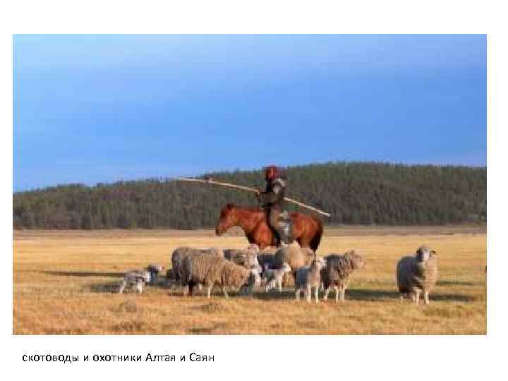 скотоводы и охотники Алтая и Саян 