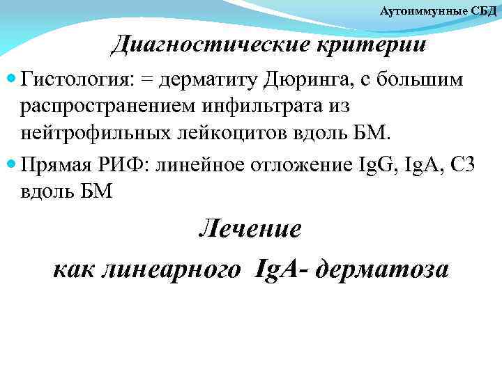 Аутоиммунные СБД Диагностические критерии Гистология: = дерматиту Дюринга, с большим распространением инфильтрата из нейтрофильных