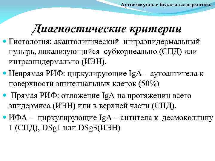 Аутоиммунные буллезные дерматозы Диагностические критерии Гистология: акантолитический интраэпидермальный пузырь, локализующийся субкорнеально (СПД) или интраэпидермально