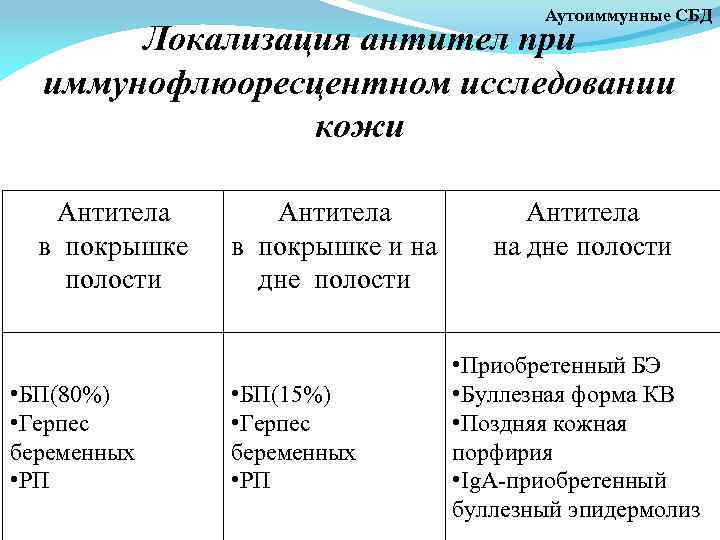 Аутоиммунные СБД Локализация антител при иммунофлюоресцентном исследовании кожи Антитела в покрышке полости • БП(80%)