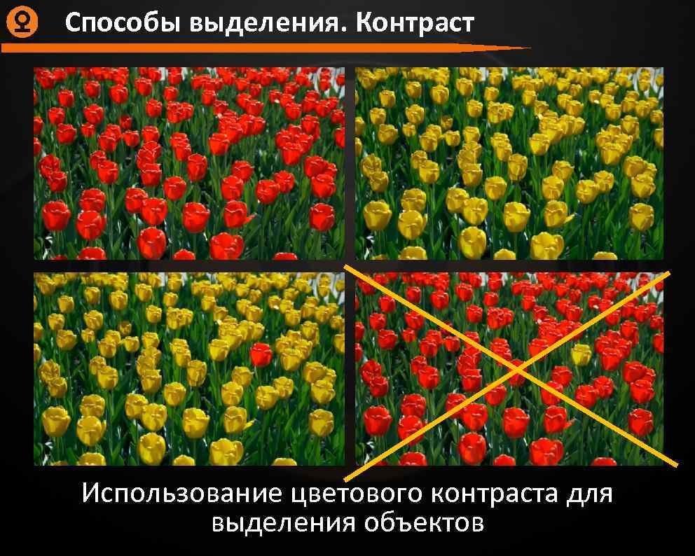 Способы выделения. Контраст Использование цветового контраста для выделения объектов 