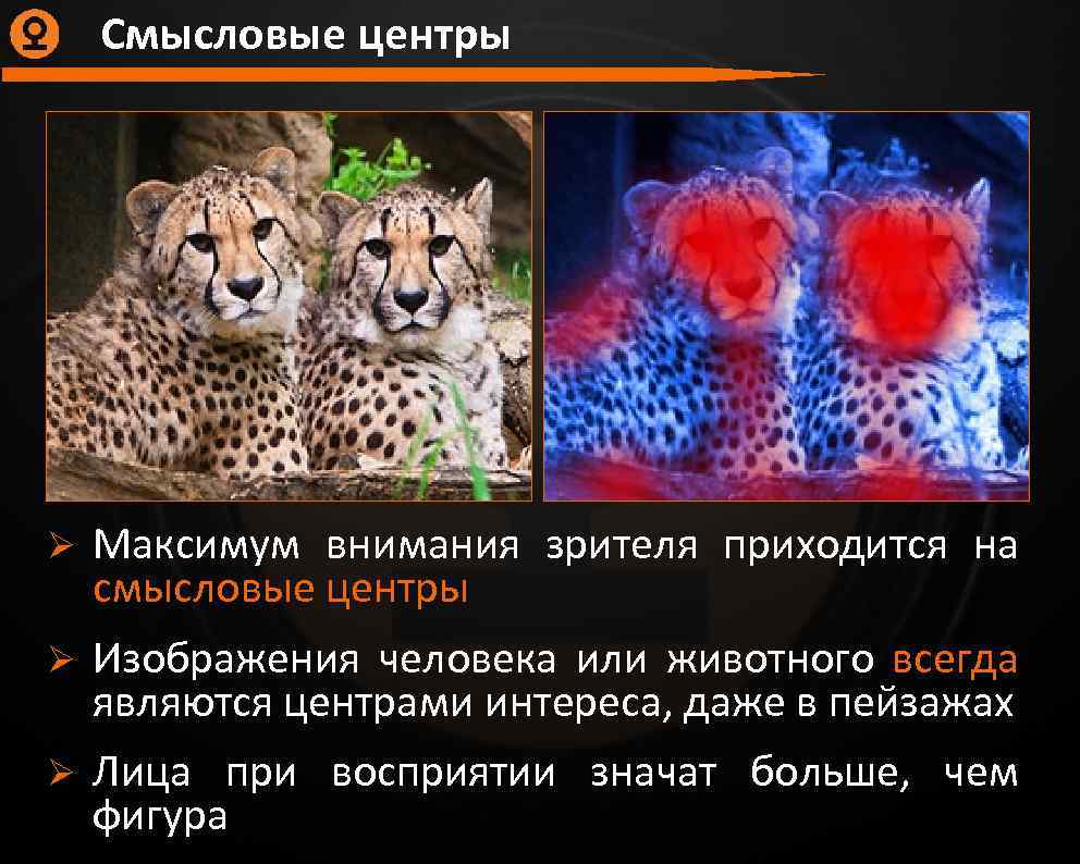 Смысловые центры Ø Максимум внимания зрителя приходится на смысловые центры Ø Изображения человека или
