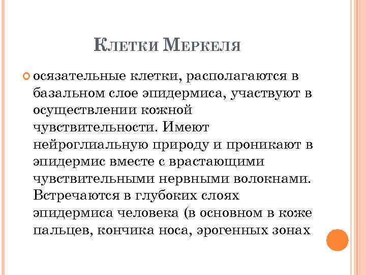 КЛЕТКИ МЕРКЕЛЯ осязательные клетки, располагаются в базальном слое эпидермиса, участвуют в осуществлении кожной чувствительности.