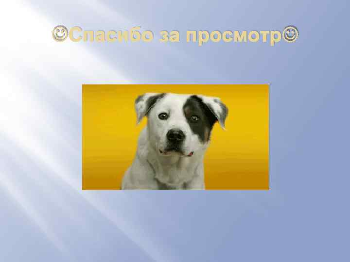  Спасибо за просмотр 