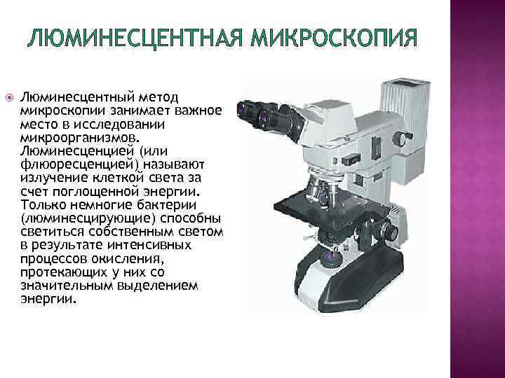 ЛЮМИНЕСЦЕНТНАЯ МИКРОСКОПИЯ Люминесцентный метод микроскопии занимает важное место в исследовании микроорганизмов. Люминесценцией (или флюоресценцией)