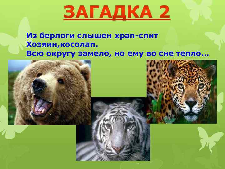 Из берлоги слышен храп-спит Хозяин, косолап. Всю округу замело, но ему во сне тепло…