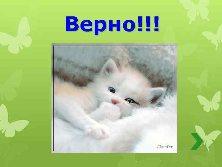 Верно!!! 