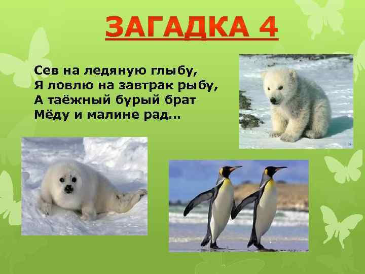 Сев на ледяную глыбу, Я ловлю на завтрак рыбу, А таёжный бурый брат Мёду