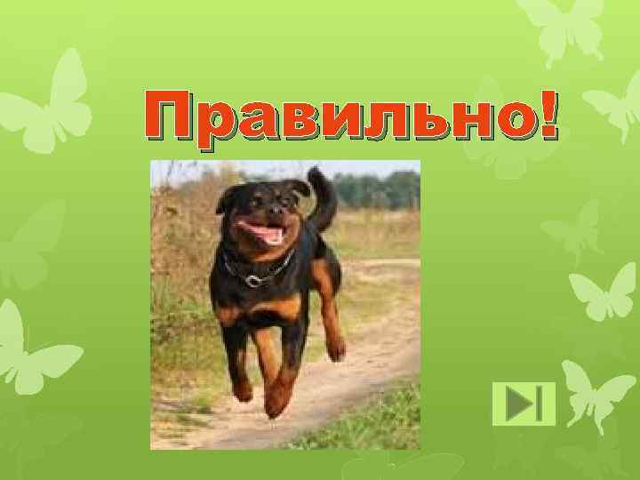 Правильно! 