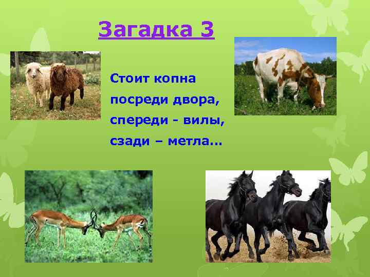 Загадка 3 Стоит копна посреди двора, спереди - вилы, сзади – метла… 