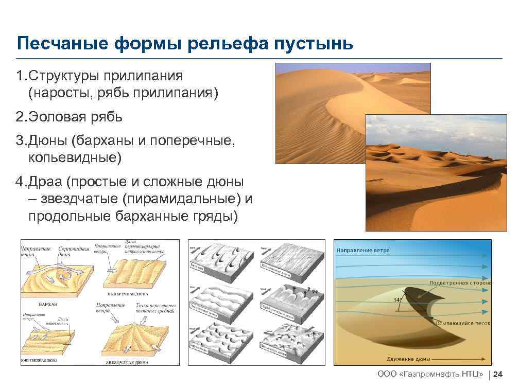 Песчаные формы рельефа пустынь 1. Структуры прилипания (наросты, рябь прилипания) 2. Эоловая рябь 3.