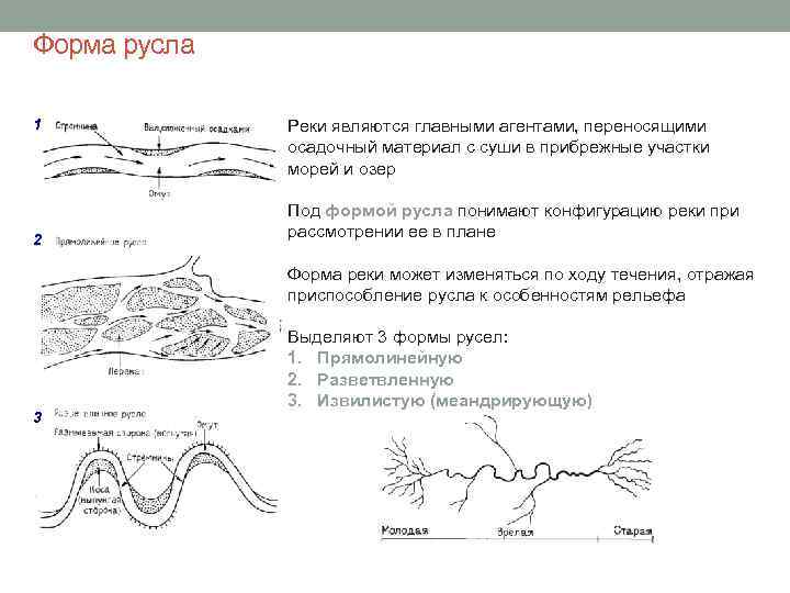 Форма русла 1 2 Реки являются главными агентами, переносящими осадочный материал с суши в