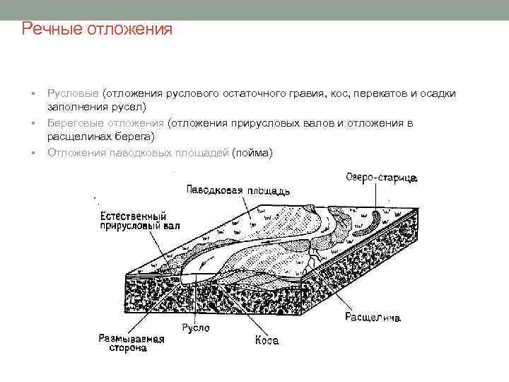 Речные отложения § § § Русловые (отложения руслового остаточного гравия, кос, перекатов и осадки