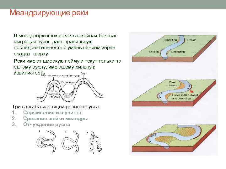 Меандрирующие реки В меандрирующих реках спокойная боковая миграция русел дает правильную последовательность с уменьшением