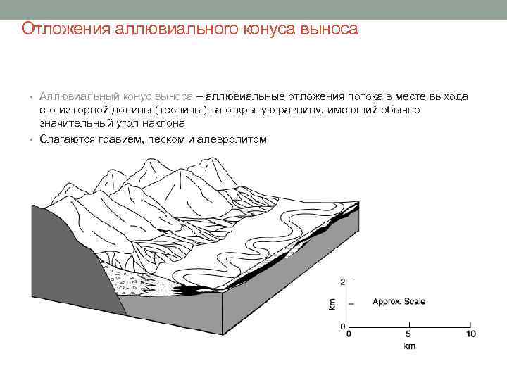 Отложения аллювиального конуса выноса • Аллювиальный конус выноса – аллювиальные отложения потока в месте
